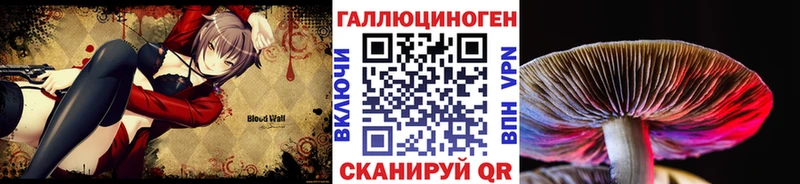 Галлюциногенные грибы Cubensis  Купить закладки  Тайга 
